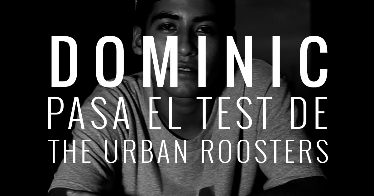 DOMINIC Test a Freestylers X Urban Roosters