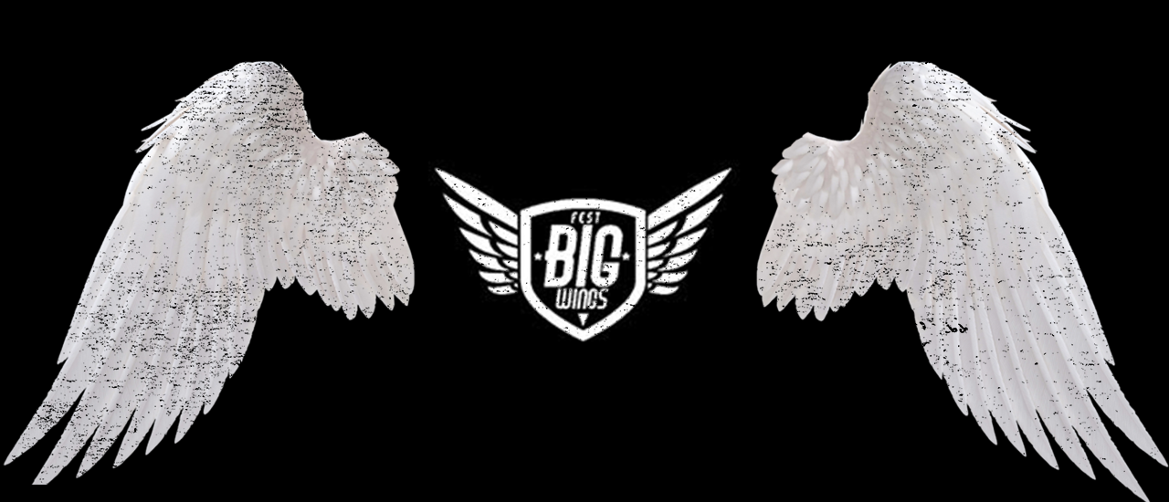 BIG WINGS FEST: MNAK SE LLEVÓ LA NACIONAL