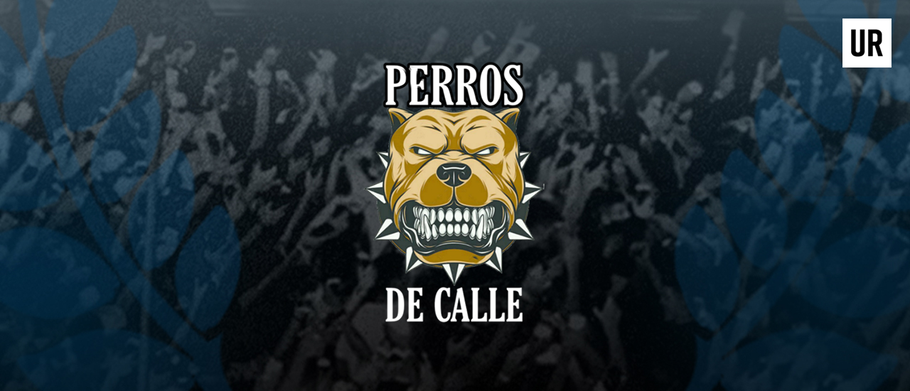 PERROS DE CALLE: TODO LISTO PARA LA OCTAVA FECHA